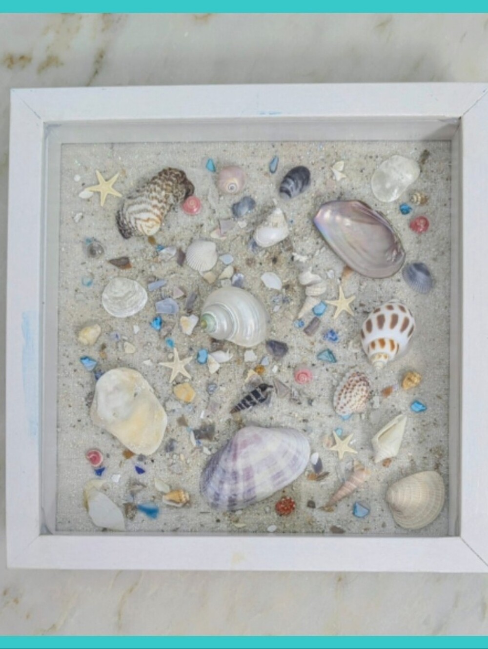 Coastal Seashell Shadow Box Wall Art - Turquoise Accents Home Decor 10in X 10in